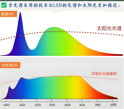 灯光和太阳光的波长与光谱有何不同?