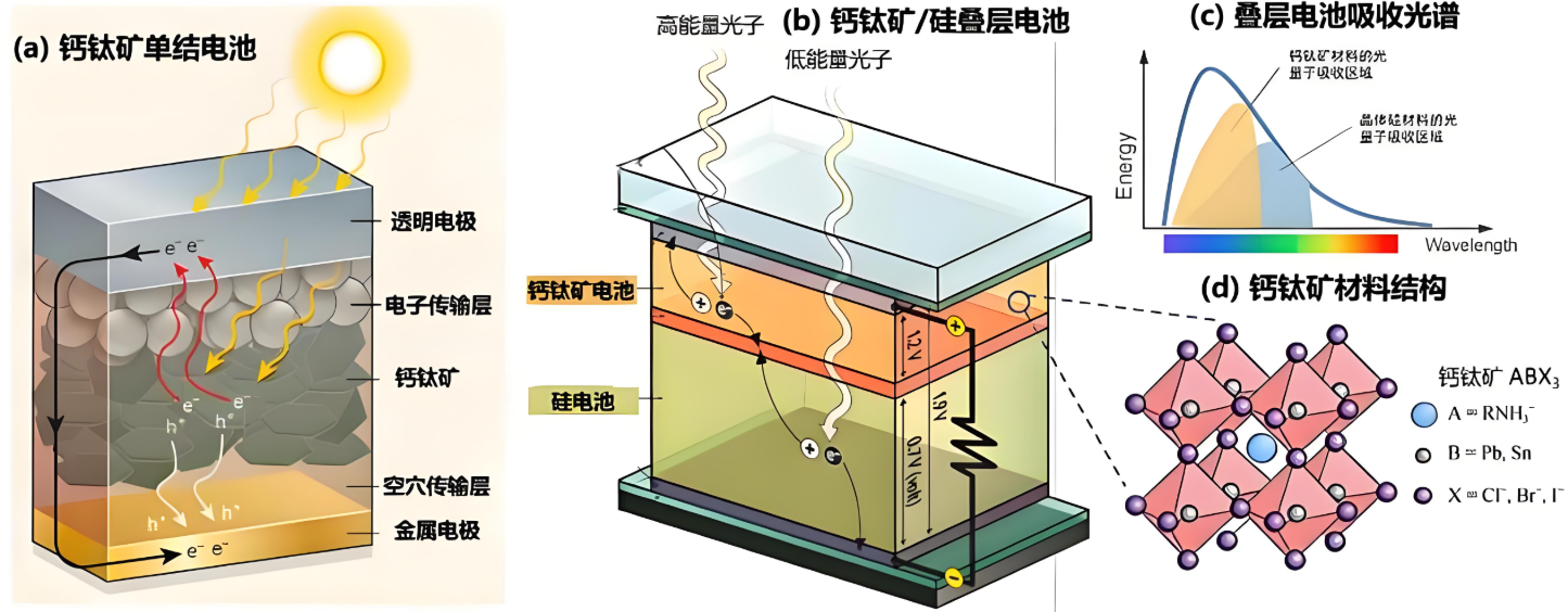 钙钛矿太阳能电池透明导电层是什么