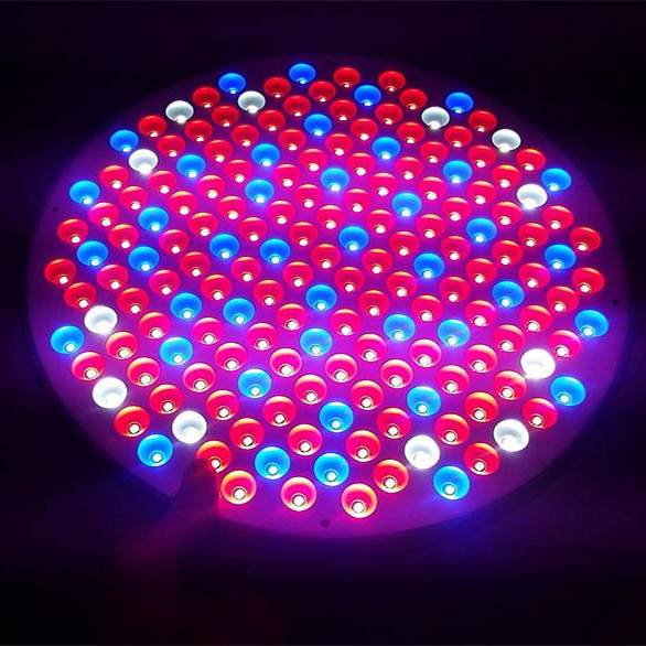 LED灯4.jpg
